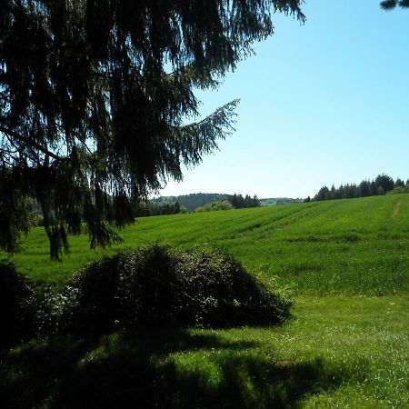 Blick In Die Suedeifel Biersdorf 외부 사진