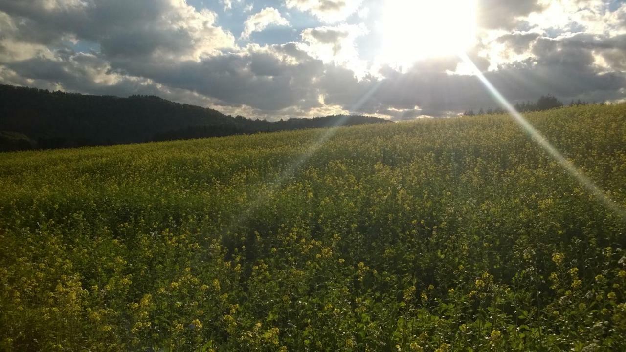Blick In Die Suedeifel Biersdorf 외부 사진
